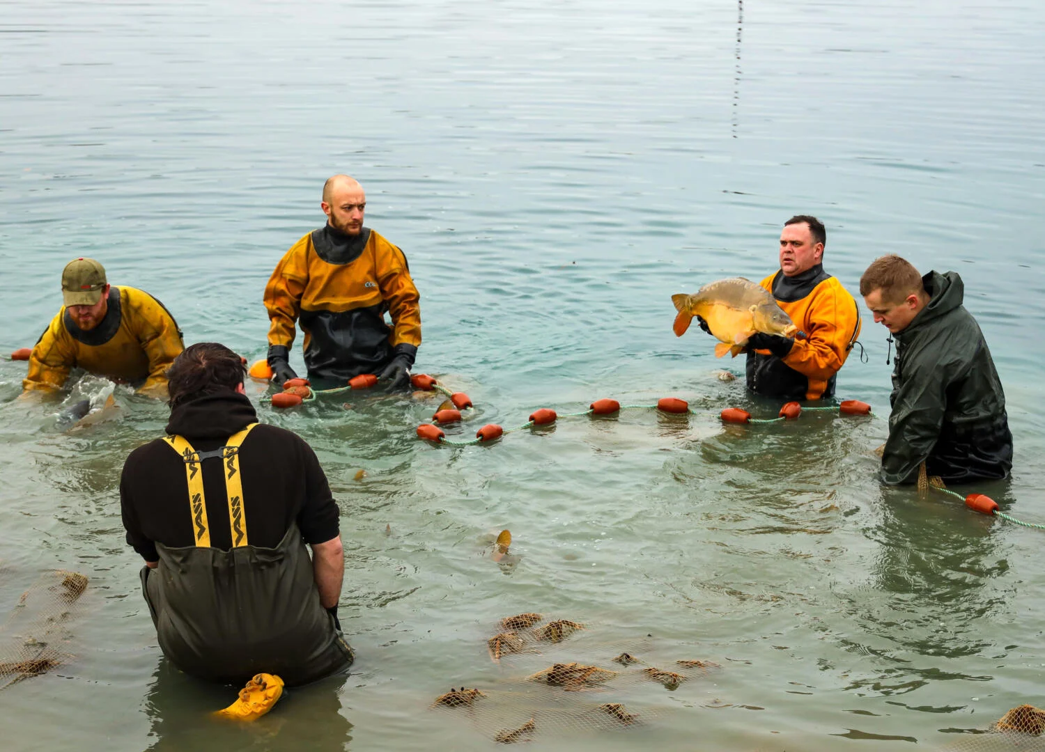 seine net fishery drysuit at collins nets in dorset