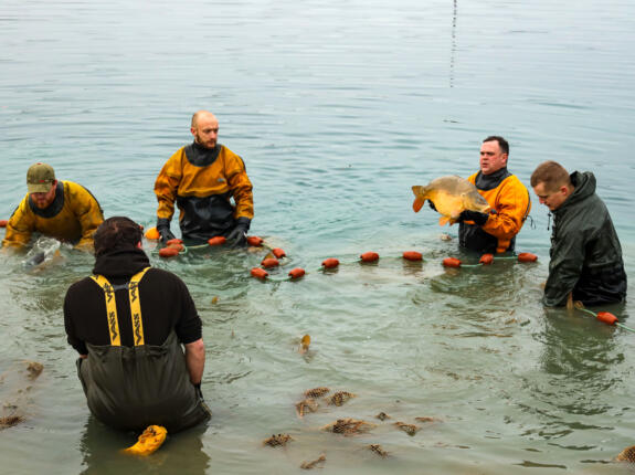 seine net fishery drysuit at collins nets in dorset