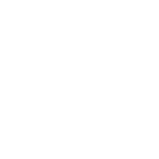 Sports Netting