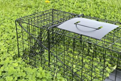 live catch cat trap collins nets