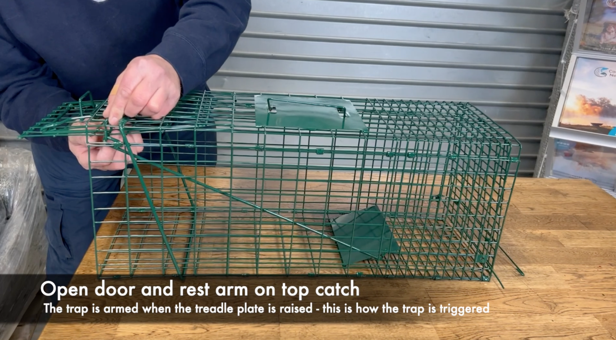 How to Set Up a Live Catch Rabbit Trap | Collins Nets