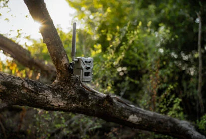Spypoint FLEX E-36 LIFESTYLE