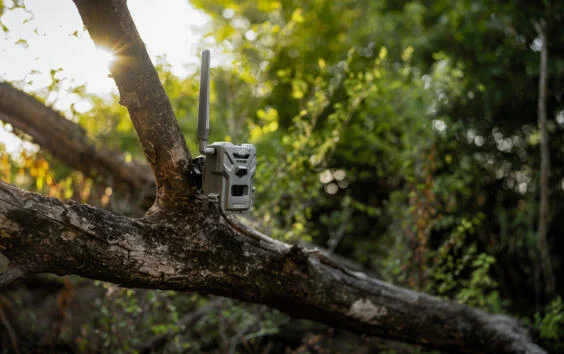 Spypoint FLEX E-36 LIFESTYLE