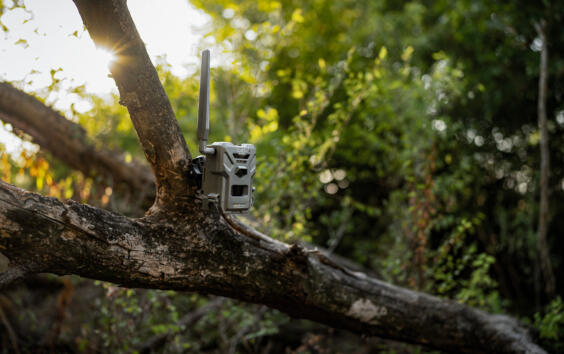 Spypoint FLEX E-36 LIFESTYLE