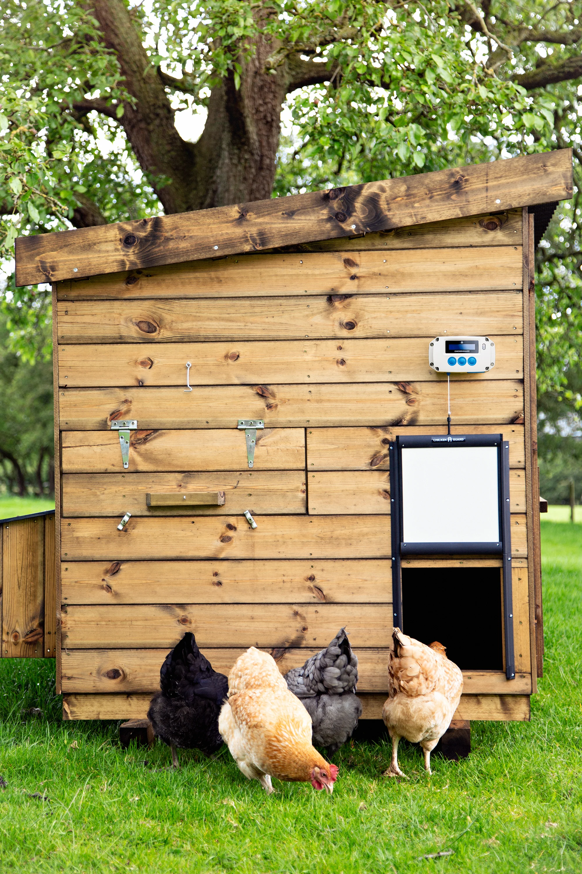 ChickenGuard PRO Door Opener & Locking Door Kit