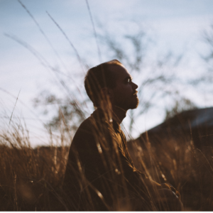 partridge shooting season be quiet