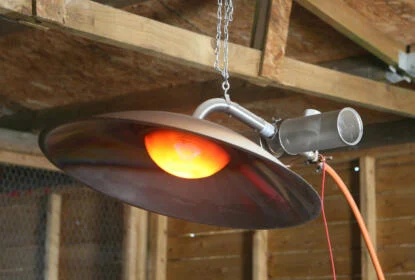 Gas Brooders for Pheasant Rearing Season