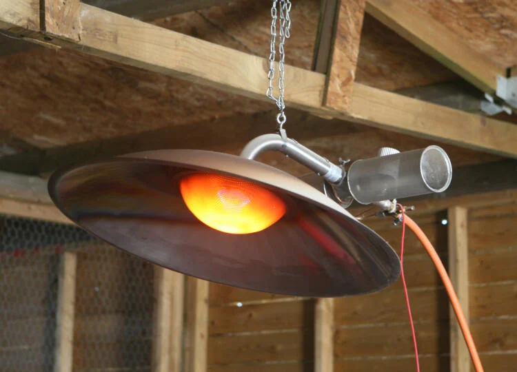 Gas Brooders for Pheasant Rearing Season