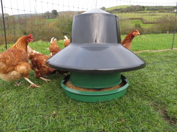 Chickens stood on netting for chicken runs