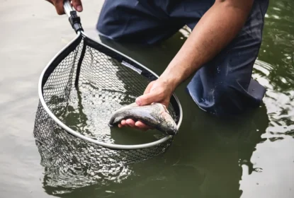 Fish Net in Lake