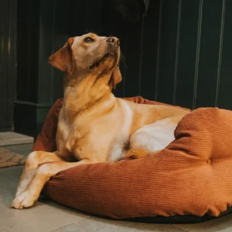 Elden Deluxe Slumber Dog Bed - Rust or Fern