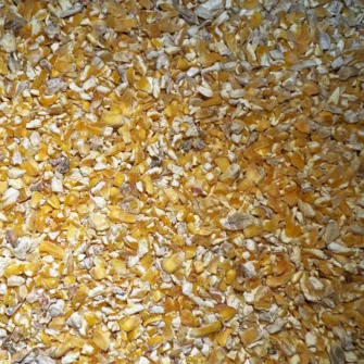 Cut Maize with Aniseed per half tonne / half pallet